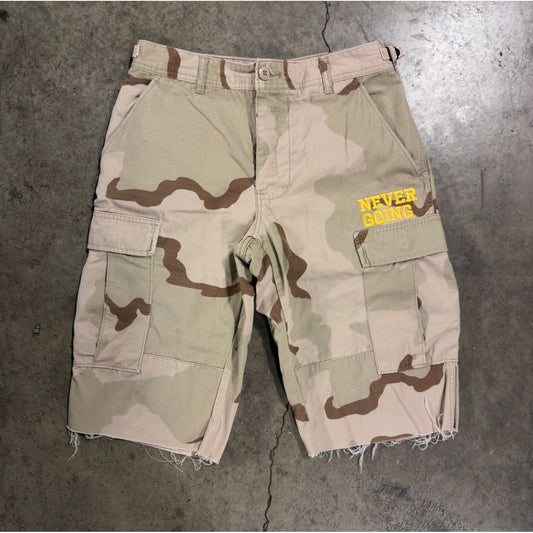 Desert Storm 3/4 Cargo